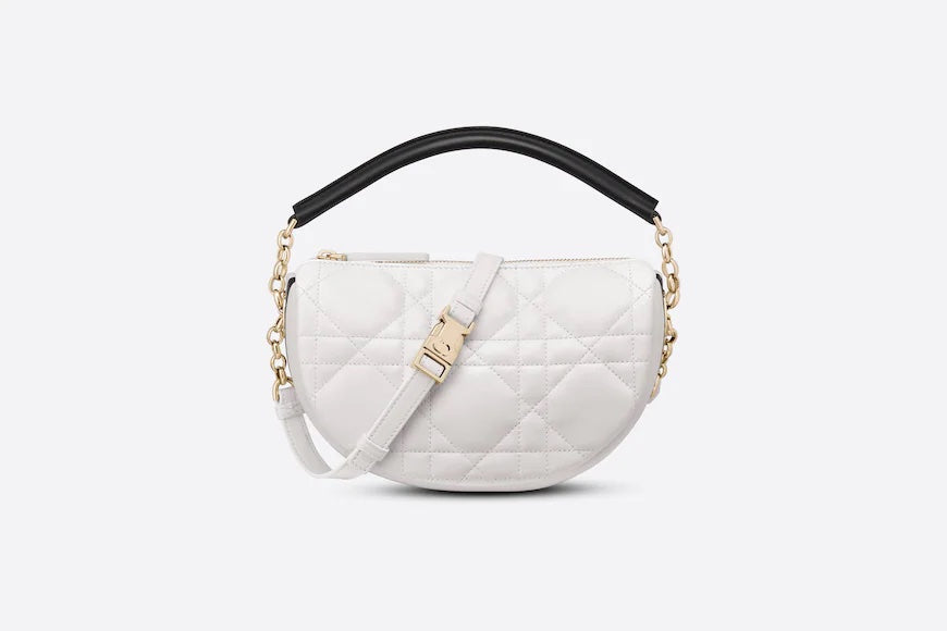 DIOR SMALL DIOR VIBE HOBO BAG – Caroline's Fashion Luxuries
