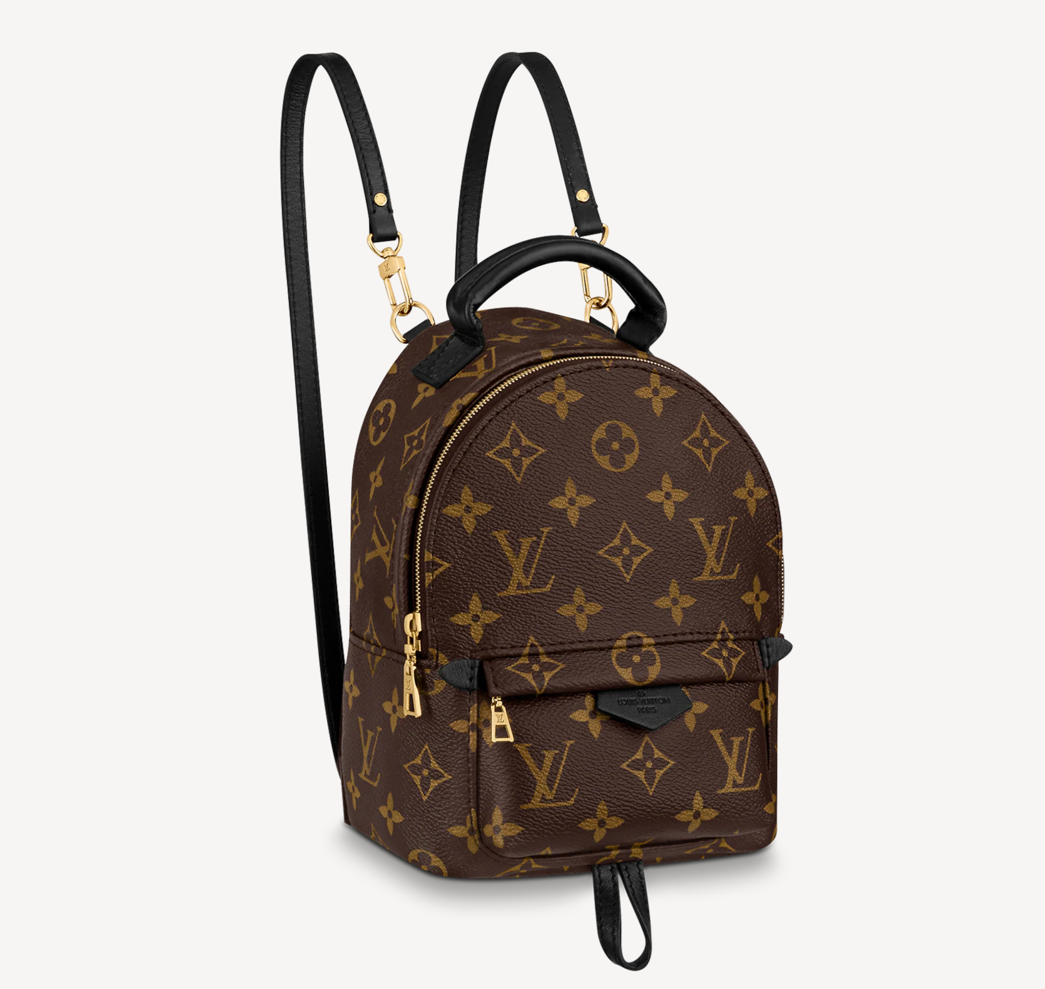 Louis Vuitton Monogram Canvas Palm Springs Mini Backpack - FINAL SALE –  LuxeDH