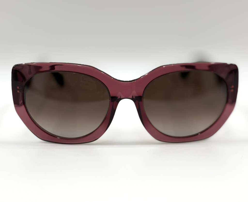 BALENCIAGA PARIS BA SUNGLASSES