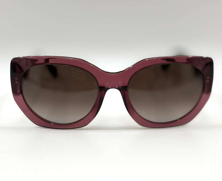 BALENCIAGA PARIS BA SUNGLASSES
