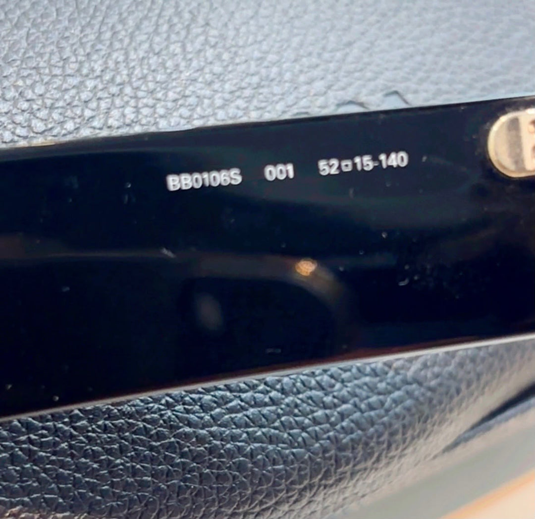 BALENCIAGA BB0106S EXTREME TINTED SUNGLASSES