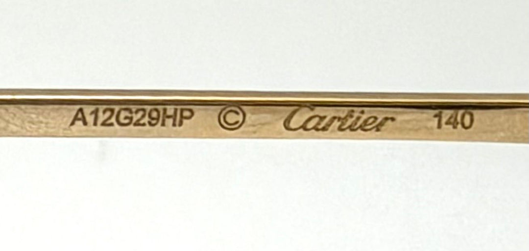 CARTIER DE CRATIER TRINITY CT0361S OVERSIZED SUNGLASSES