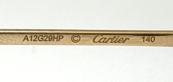CARTIER DE CRATIER TRINITY CT0361S OVERSIZED SUNGLASSES