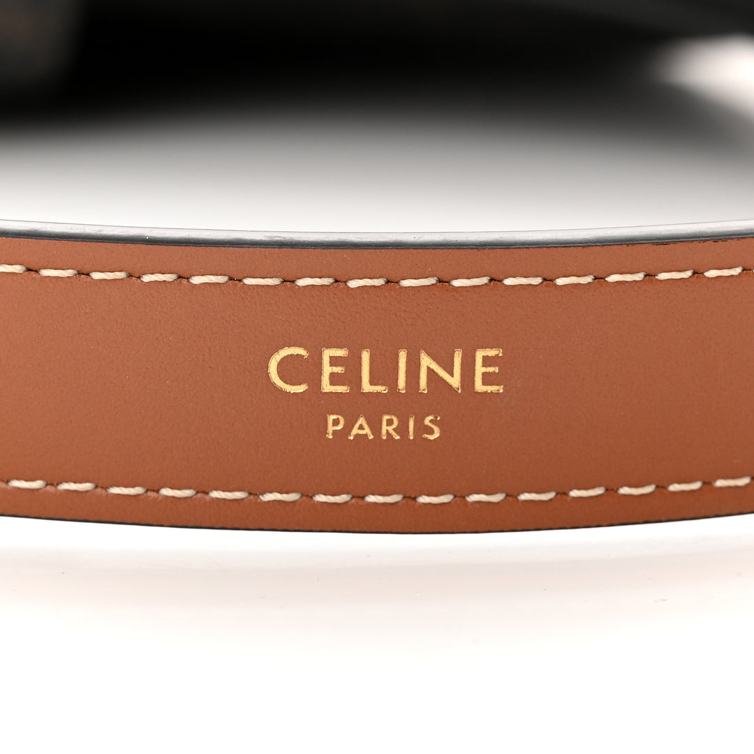 CÉLINE CALFSKIN &amp; COATED CANVAS MEDIUM AVA TRIOMPH HOBO BAG
