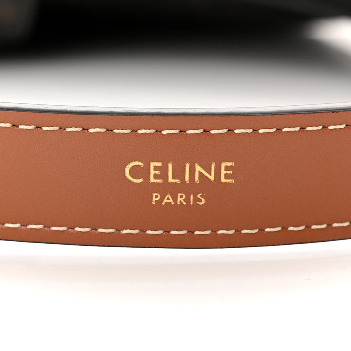 CÉLINE CALFSKIN &amp; COATED CANVAS MEDIUM AVA TRIOMPH HOBO BAG