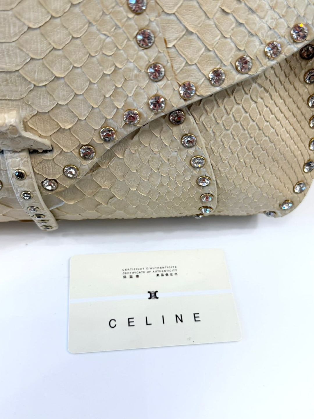 CÉLINE TRIOMPHE PYTHON LEATHER VINTAGE HANDBAG