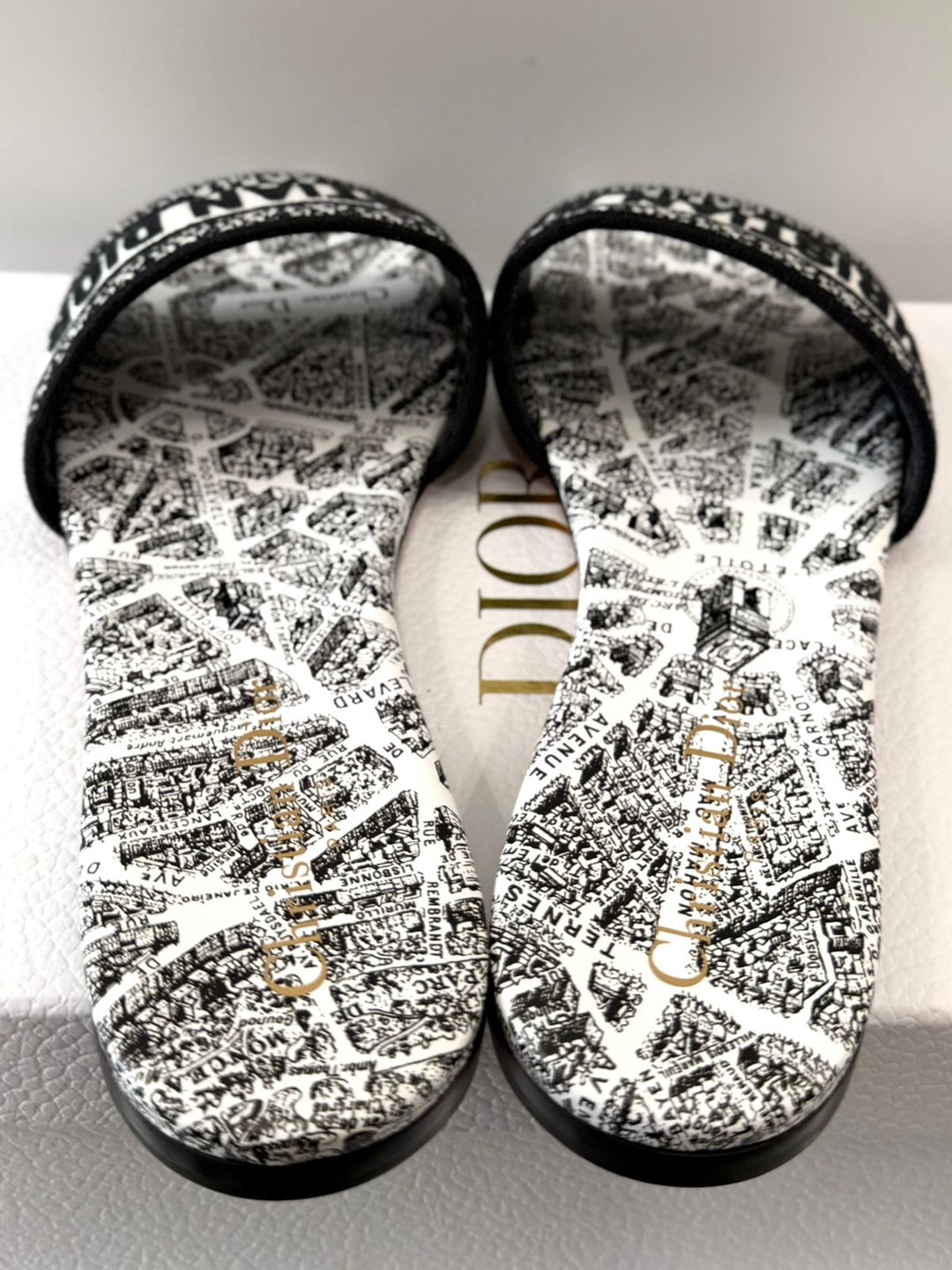 CHRISTIAN DIOR DWAY PLAN DE PARIS EMBROIDERED FLAT MULES