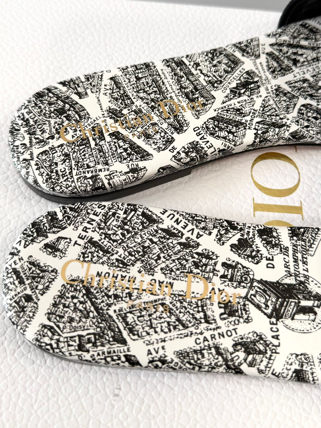 CHRISTIAN DIOR DWAY PLAN DE PARIS EMBROIDERED FLAT MULES