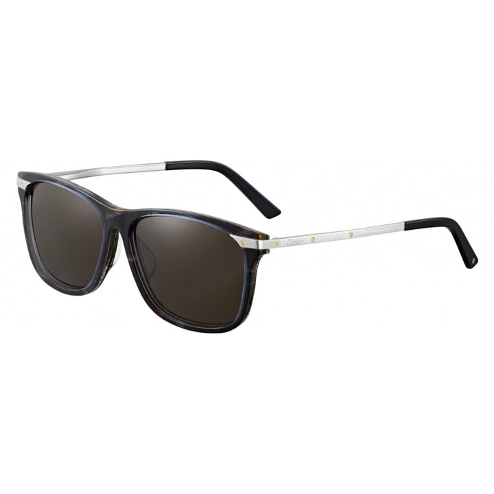 CARTIER SANTOS DE CARTIER ACETATE &amp; PLATINUM SUNGLASSES