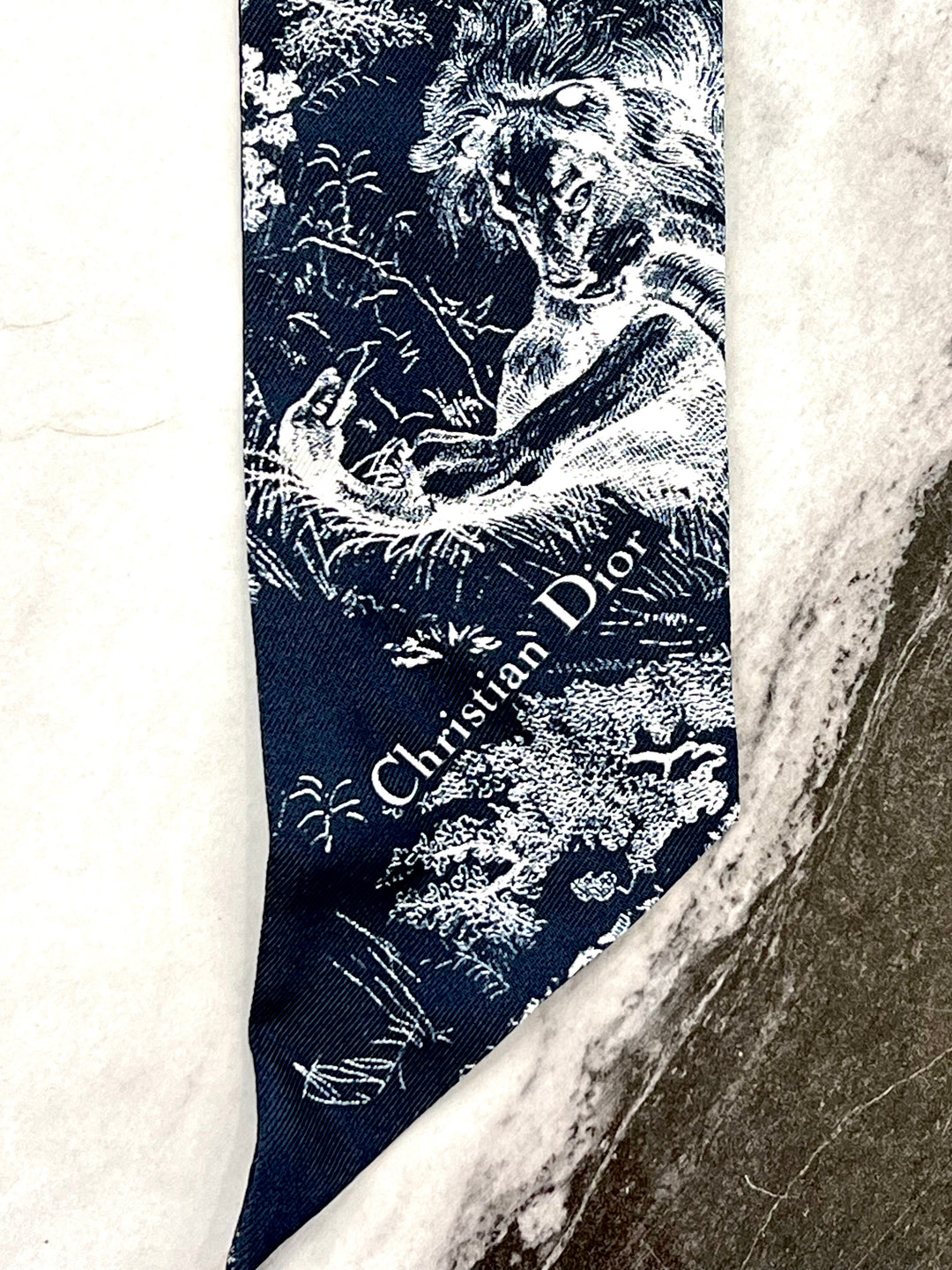CHRISTIAN DIOR TOILE DE JOUY REVERSE CAPRI MITZAH SCARF