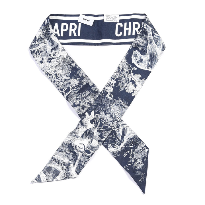 CHRISTIAN DIOR TOILE DE JOUY REVERSE CAPRI MITZAH SCARF