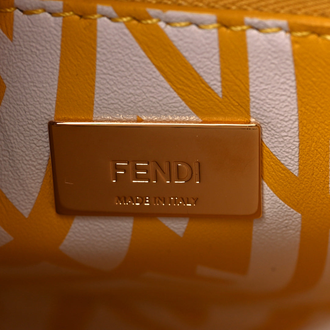 FENDI X SARAH COLEMAN MINI VERTIGO PEEKABOO BAG