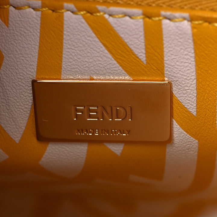 FENDI X SARAH COLEMAN MINI VERTIGO PEEKABOO BAG