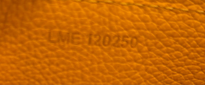 GOYARD BONBONNIÈRE GOYARDINE &amp; CALFSKIN LEATHER HANDBAG
