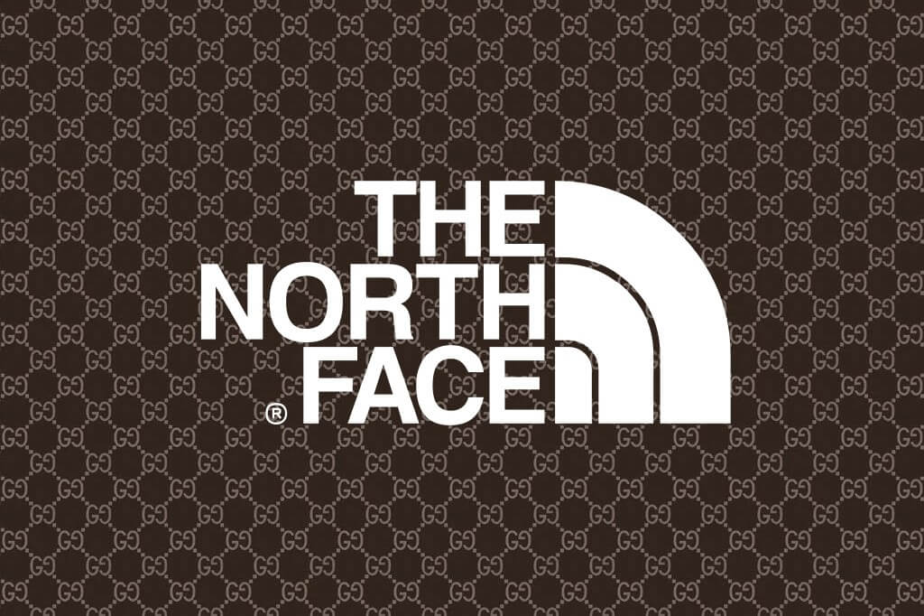 GUCCI X THE NORTH FACE PADDED JACKET