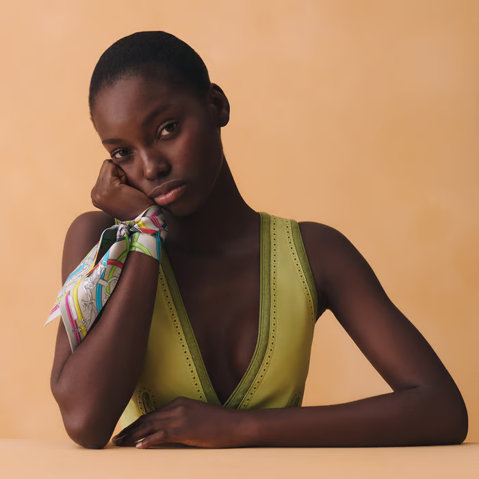 HERMÈS HARNAIS LÉGENDAIRE SILK TWILLY