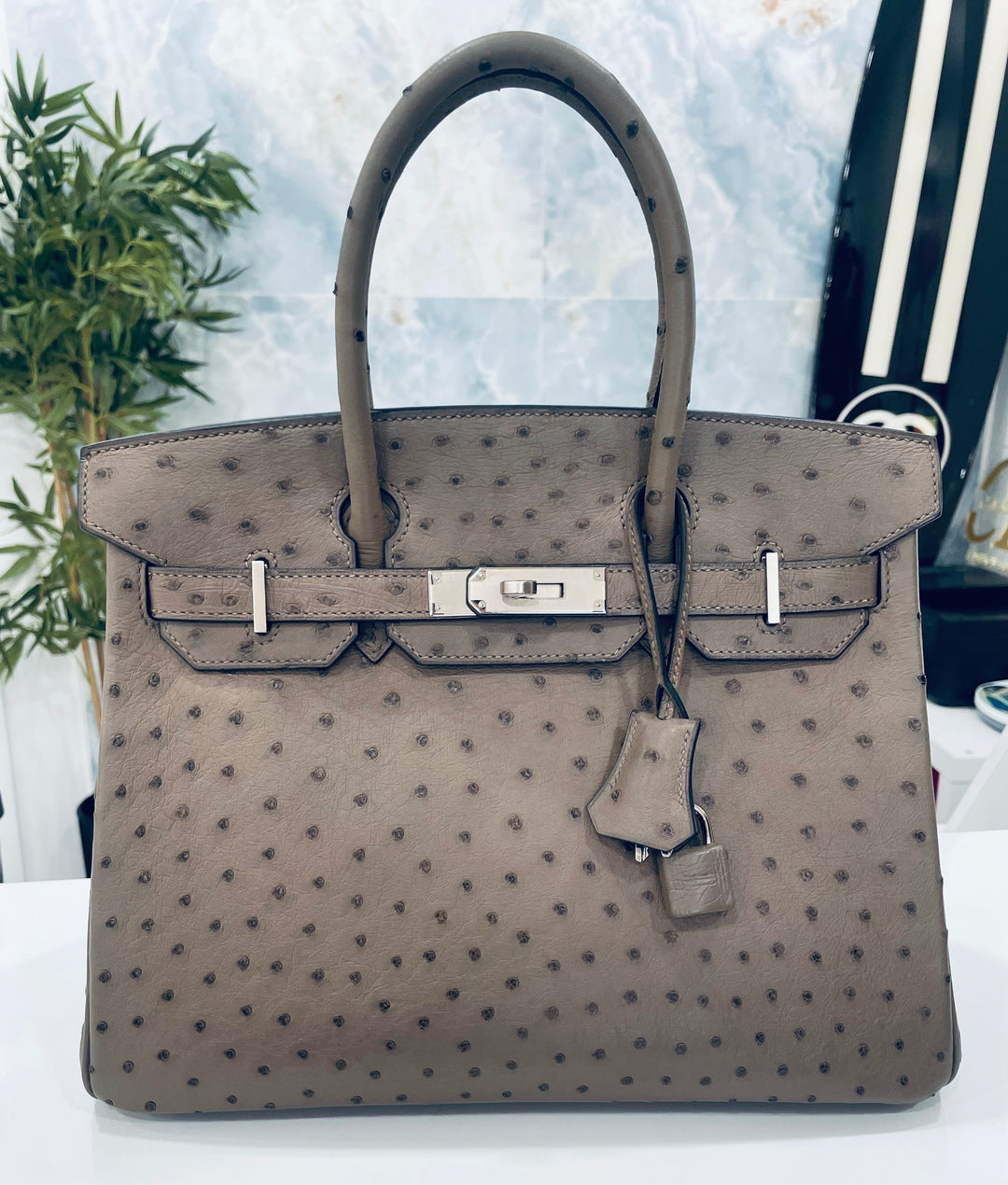 HERMÈS BIRKIN 30 OSTRICH PALLADIUM HARDWARE HANDBAG – MOUSSE (2016)