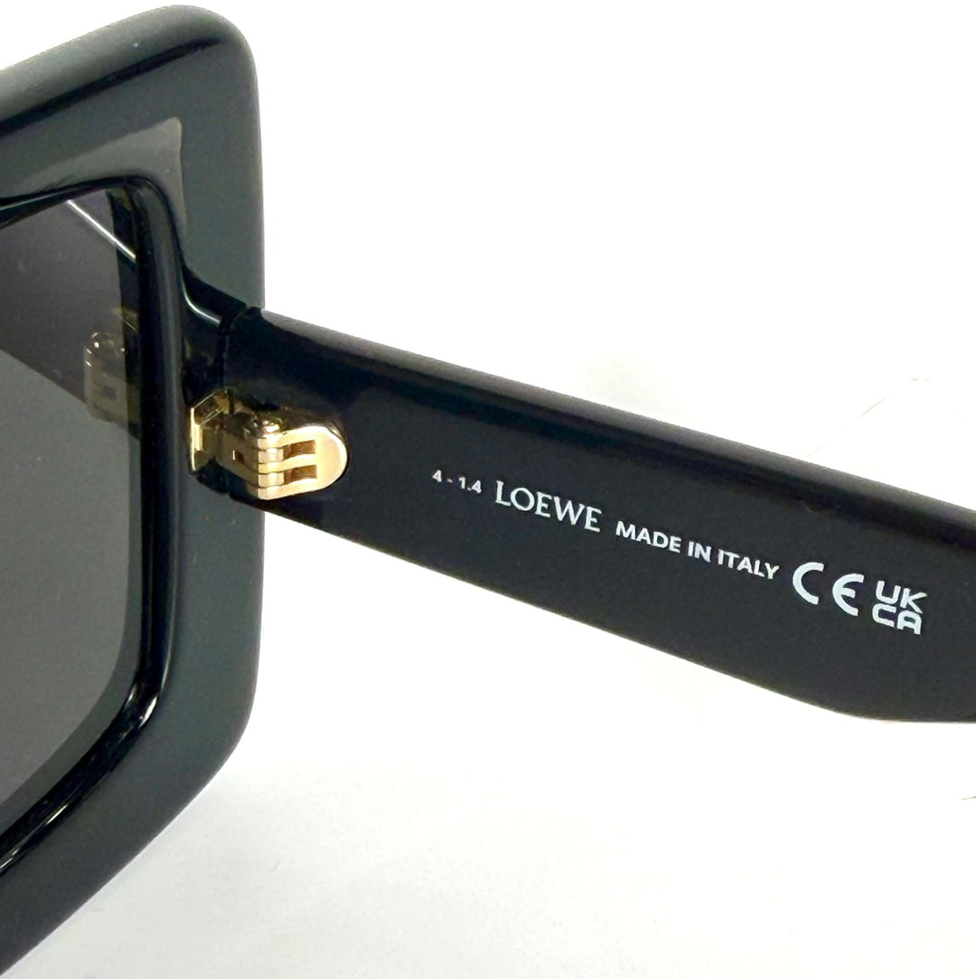 LOEWE D FRAME SUNGLASSES