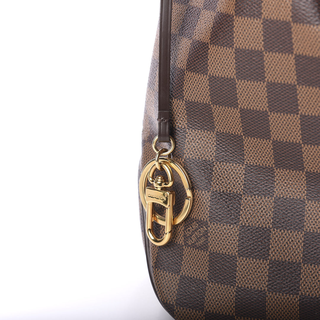 LOUIS VUITTON DAMIER EBENE DELIGHTFUL PM BAG