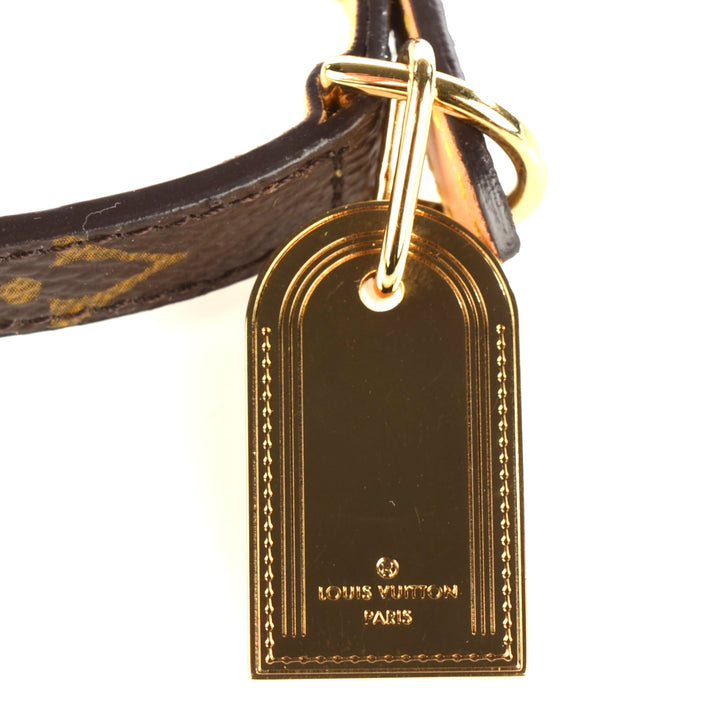 LOUIS VUITTON MONOGRAM BAXTER DOG COLLAR