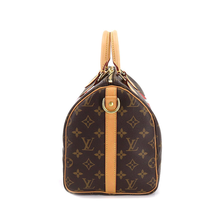 LOUIS VUITTON MONOGRAM PATCHES SPEEDY BANDOULIERE 30 BAG
