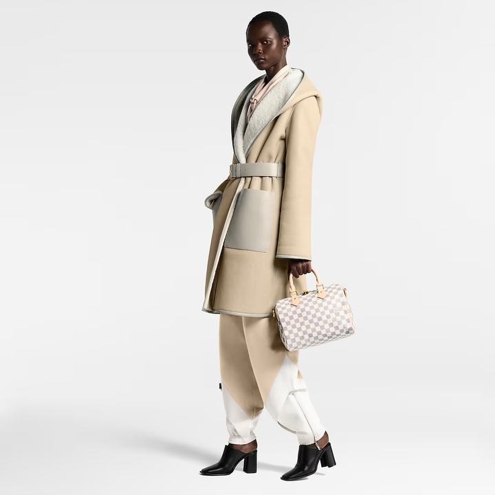 LOUIS VUITTON DAMIER AZUR SPEEDY 25 HANDBAG