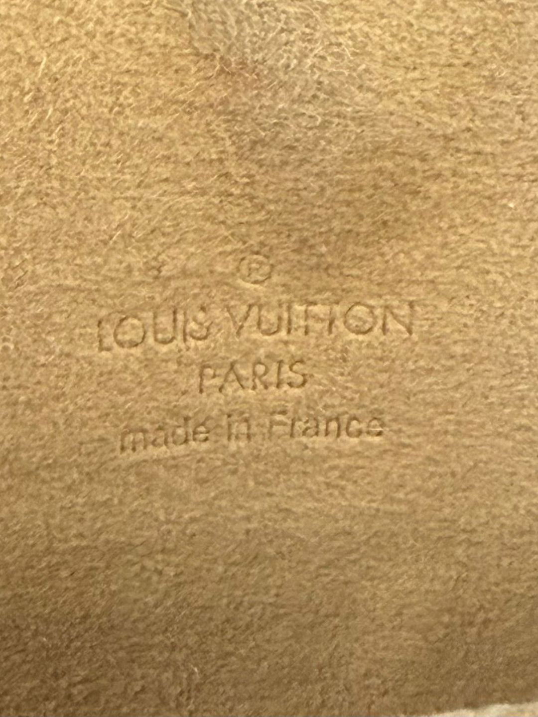 LOUIS VUITTON MONOGRAM LAGOON POCHETTE WRISTLET