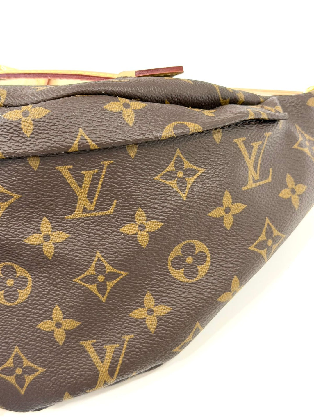 LOUIS VUITTON LV MONOGRAM COATED CANVAS &amp; LEATHER BUMBAG