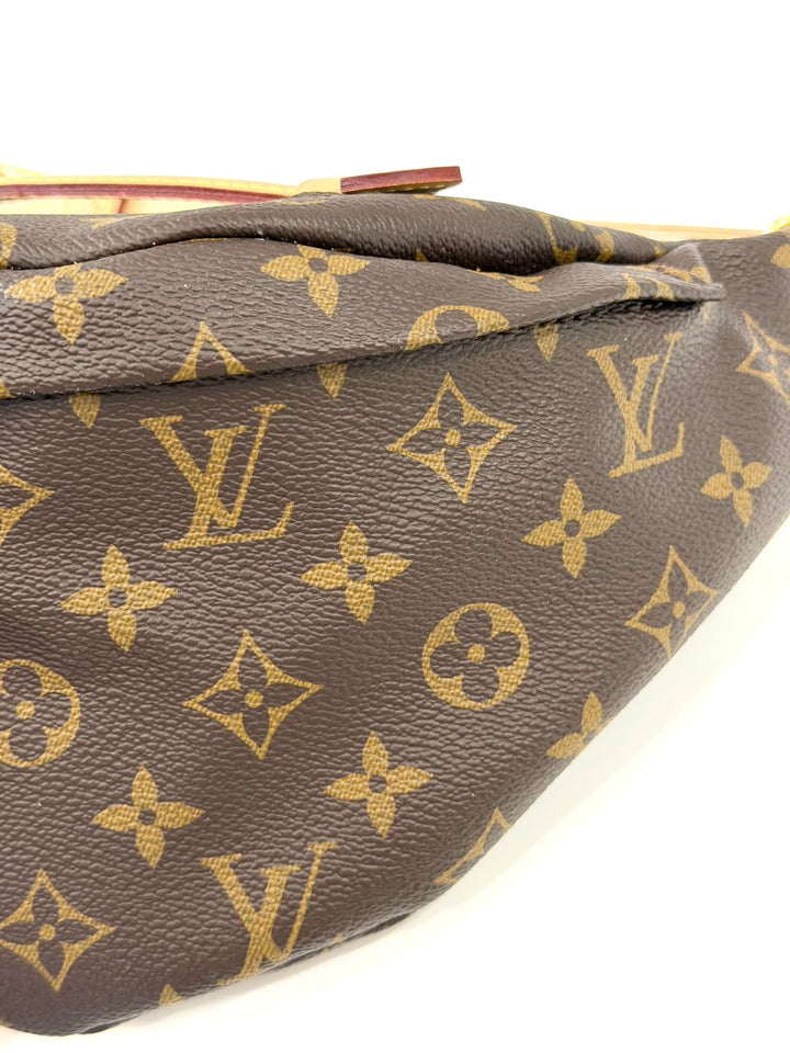 LOUIS VUITTON LV MONOGRAM COATED CANVAS &amp; LEATHER BUMBAG