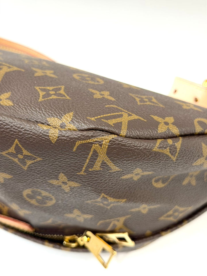 LOUIS VUITTON LV MONOGRAM COATED CANVAS &amp; LEATHER BUMBAG