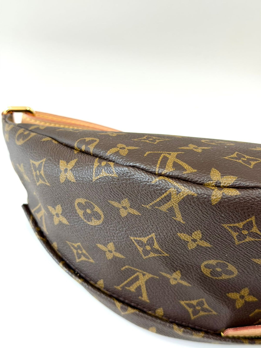 LOUIS VUITTON LV MONOGRAM COATED CANVAS &amp; LEATHER BUMBAG