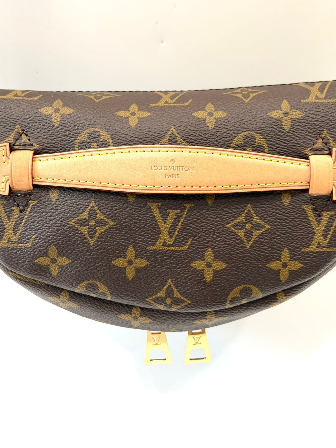 LOUIS VUITTON LV MONOGRAM COATED CANVAS &amp; LEATHER BUMBAG