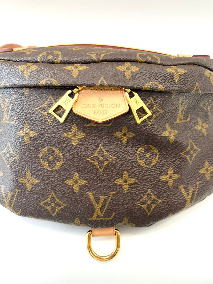 LOUIS VUITTON LV MONOGRAM COATED CANVAS &amp; LEATHER BUMBAG