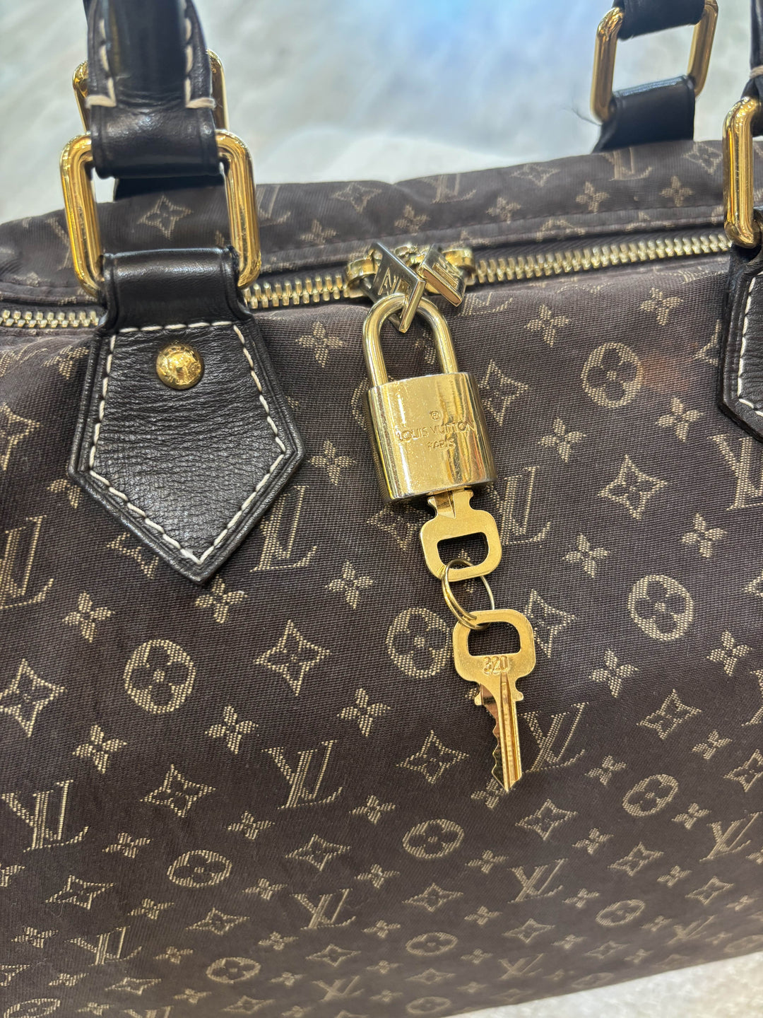 LOUIS VUITTON MONOGRAM MINI LIN BAG