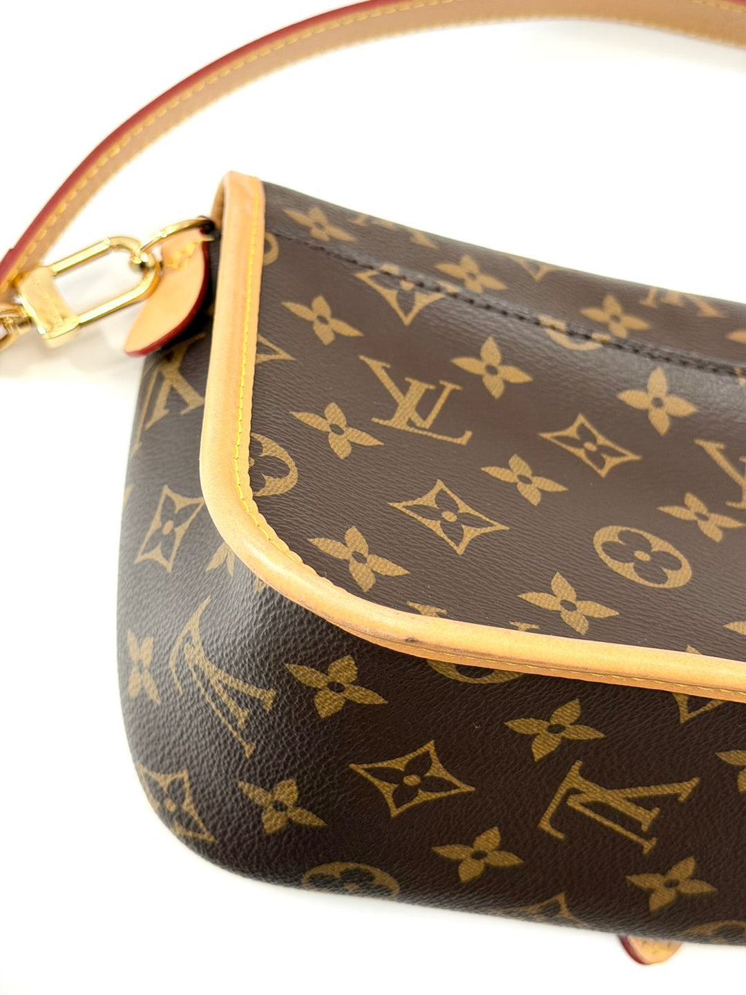 LOUIS VUITTON MONOGRAM CANVAS DIANE SHOULDER BAG