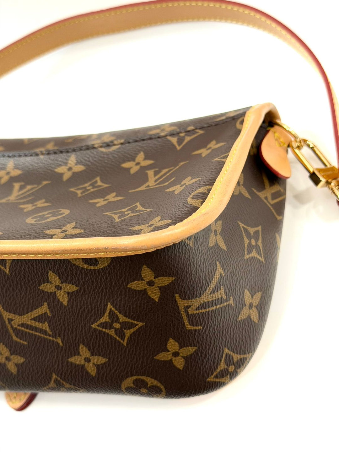 LOUIS VUITTON MONOGRAM CANVAS DIANE SHOULDER BAG