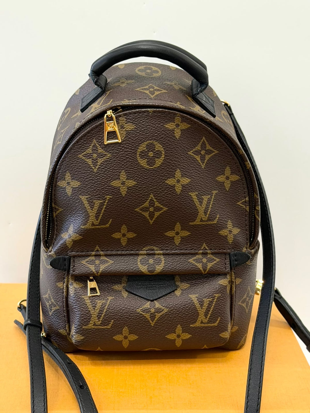 LOUIS VUITTON MONOGRAM PALM SPRINGS MINI BACKPACK
