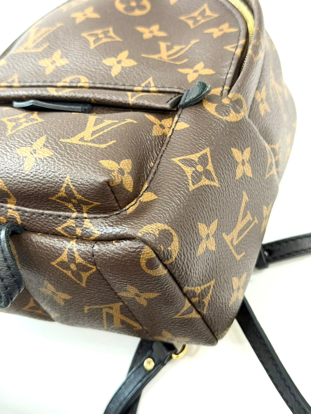 LOUIS VUITTON MONOGRAM PALM SPRINGS MINI BACKPACK
