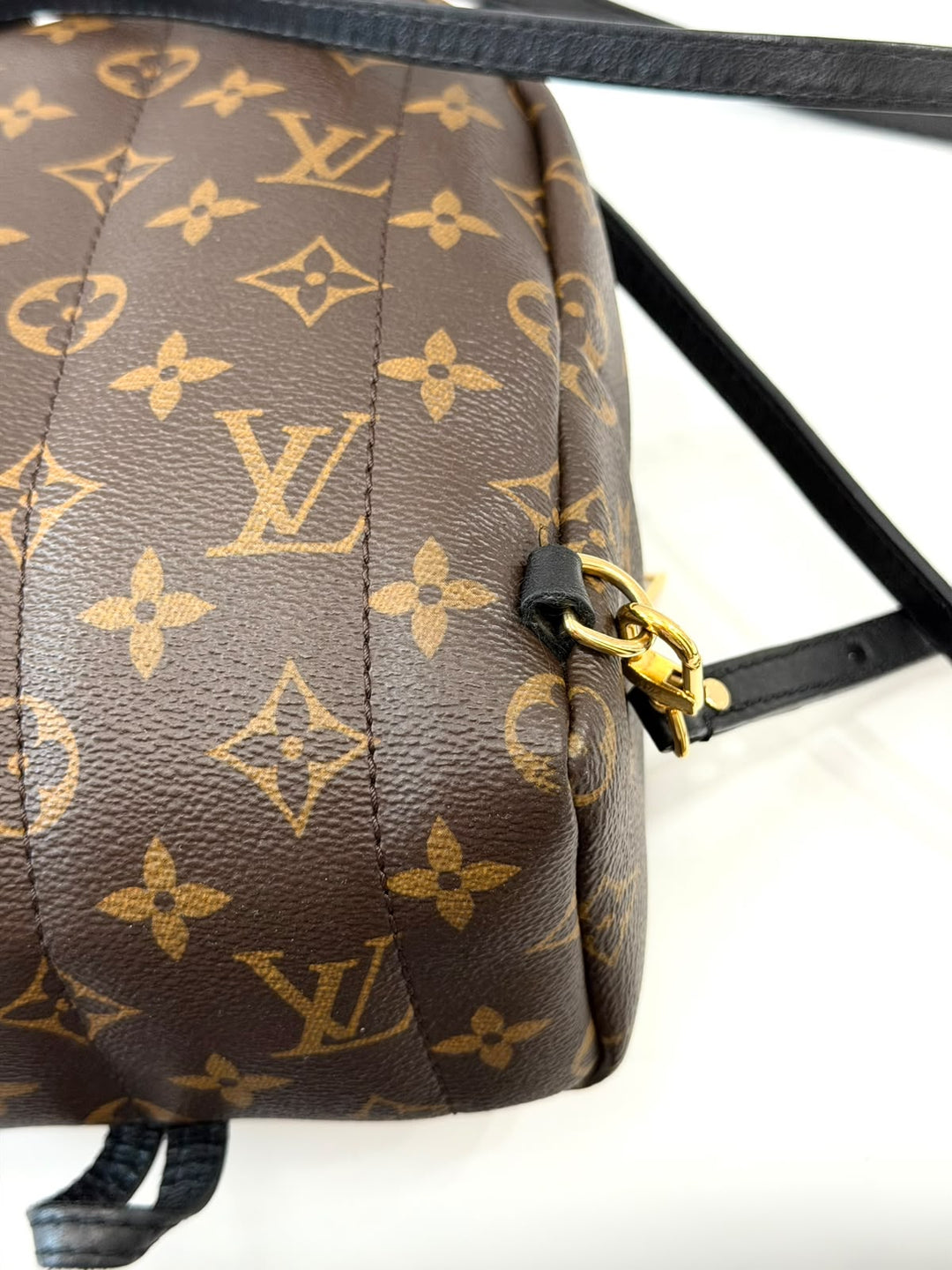 LOUIS VUITTON MONOGRAM PALM SPRINGS MINI BACKPACK