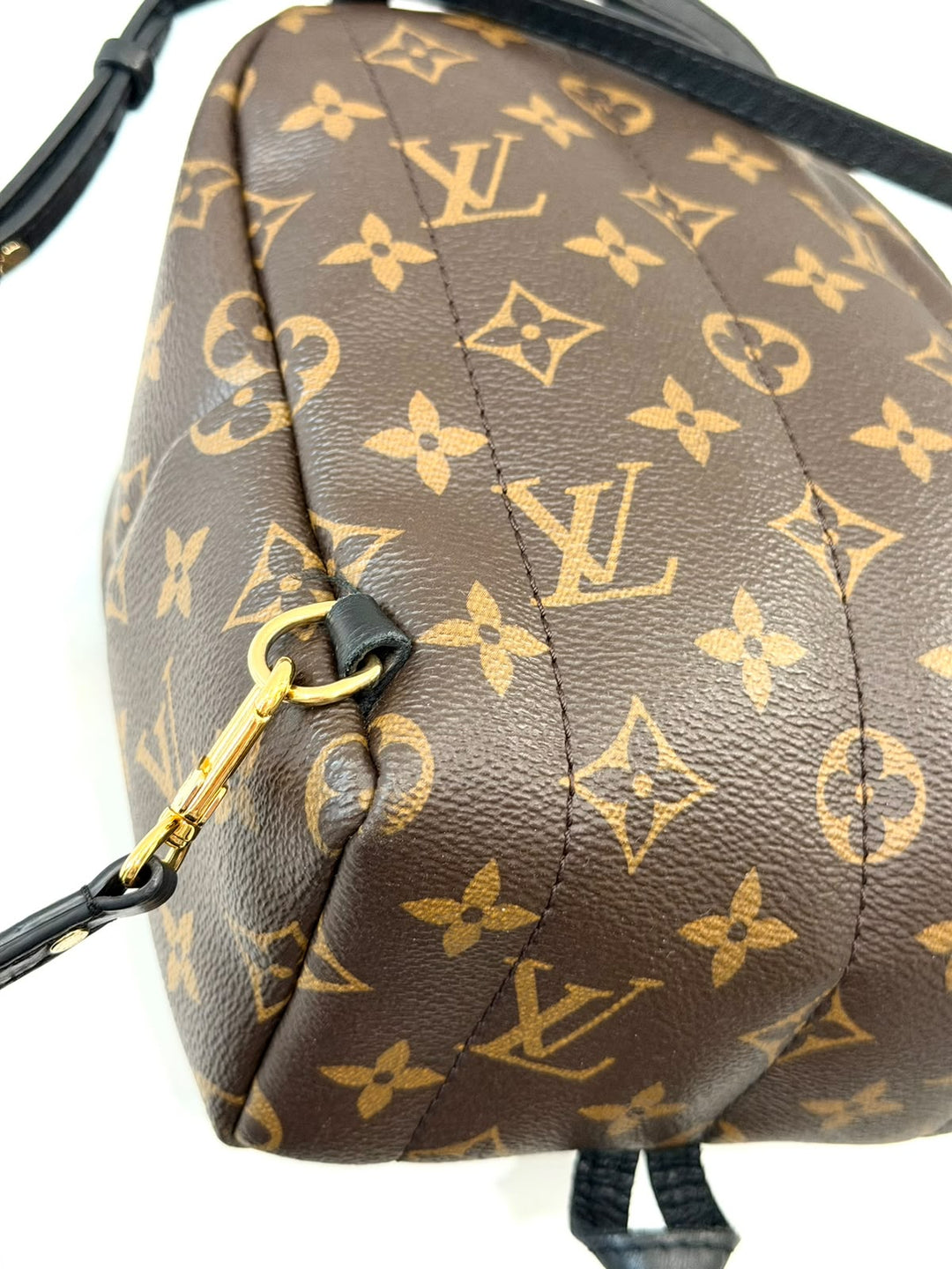 LOUIS VUITTON MONOGRAM PALM SPRINGS MINI BACKPACK