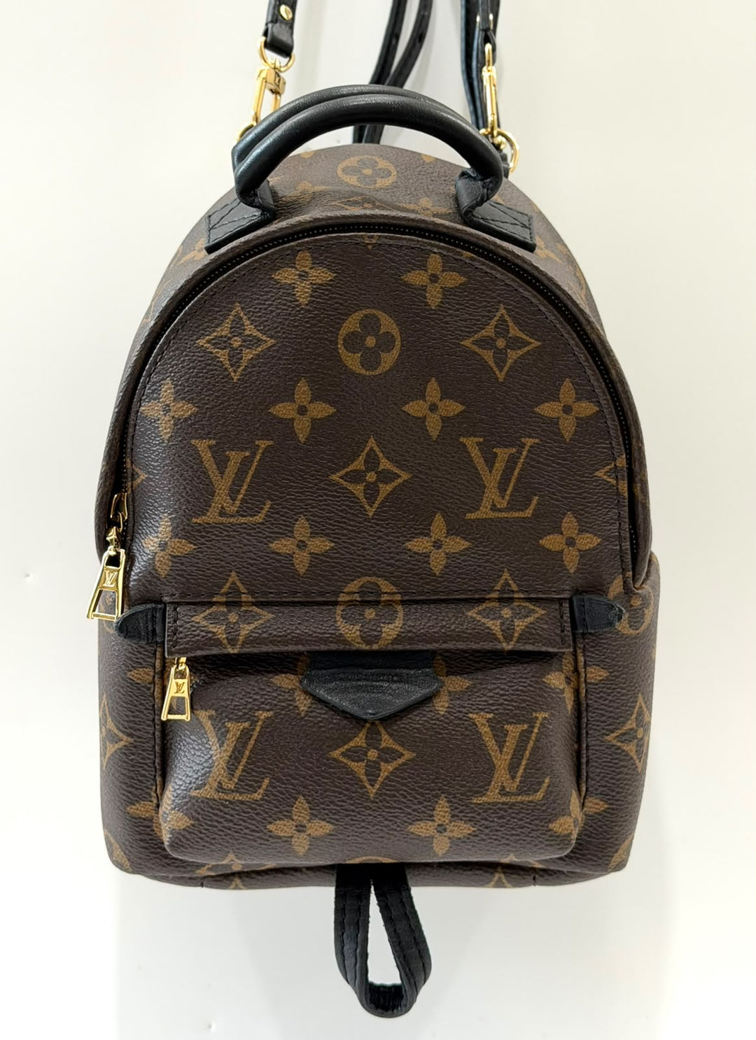LOUIS VUITTON MONOGRAM PALM SPRINGS MINI BACKPACK