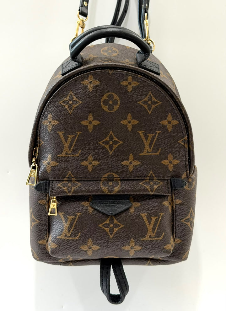 LOUIS VUITTON MONOGRAM PALM SPRINGS MINI BACKPACK