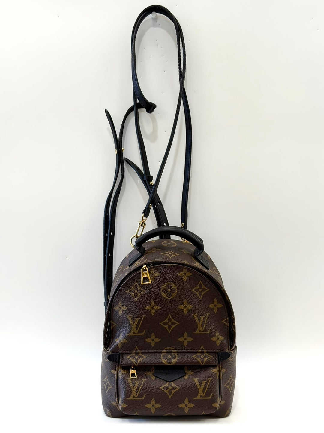 LOUIS VUITTON MONOGRAM PALM SPRINGS MINI BACKPACK