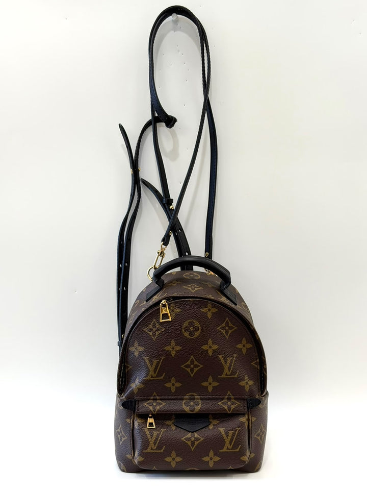 LOUIS VUITTON MONOGRAM PALM SPRINGS MINI BACKPACK