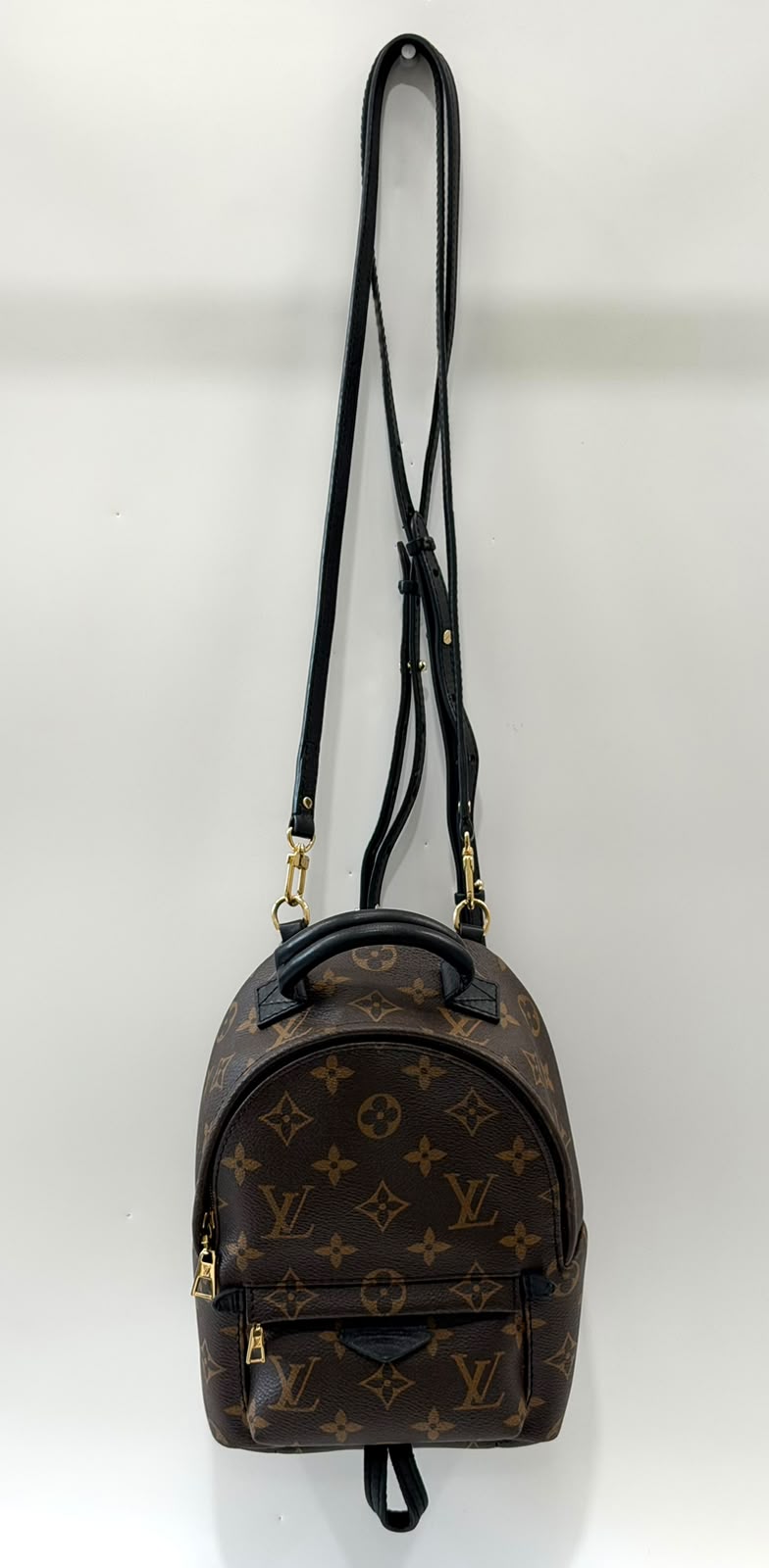 LOUIS VUITTON MONOGRAM PALM SPRINGS MINI BACKPACK