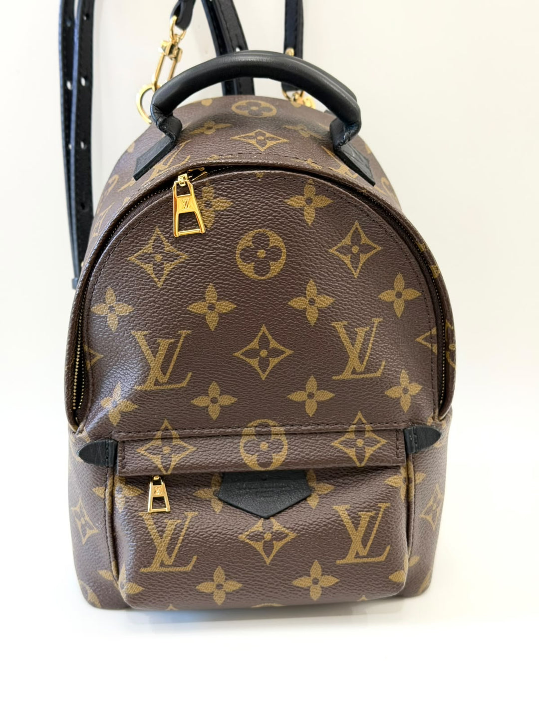 LOUIS VUITTON MONOGRAM PALM SPRINGS MINI BACKPACK
