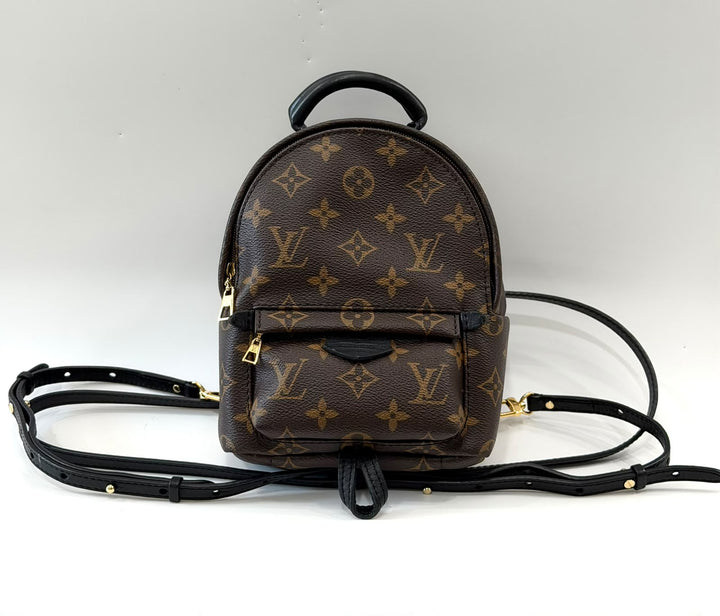 LOUIS VUITTON MONOGRAM PALM SPRINGS MINI BACKPACK