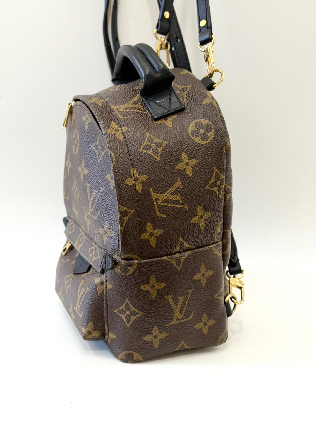 LOUIS VUITTON MONOGRAM PALM SPRINGS MINI BACKPACK