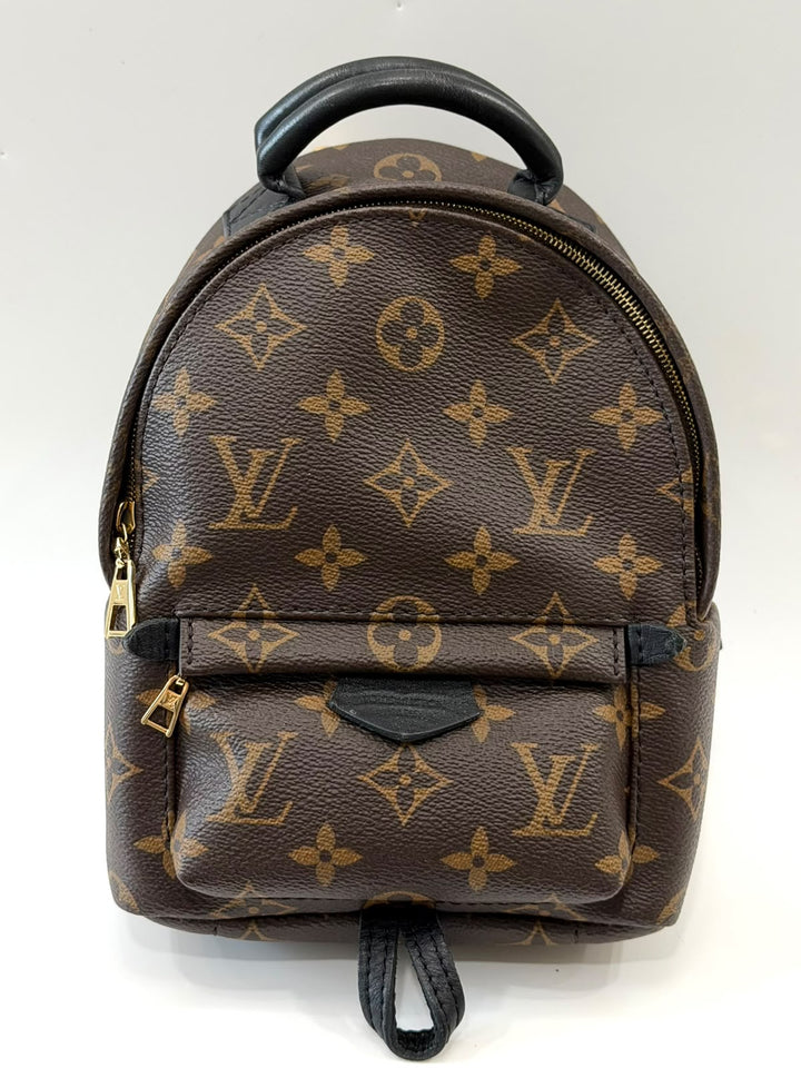 LOUIS VUITTON MONOGRAM PALM SPRINGS MINI BACKPACK