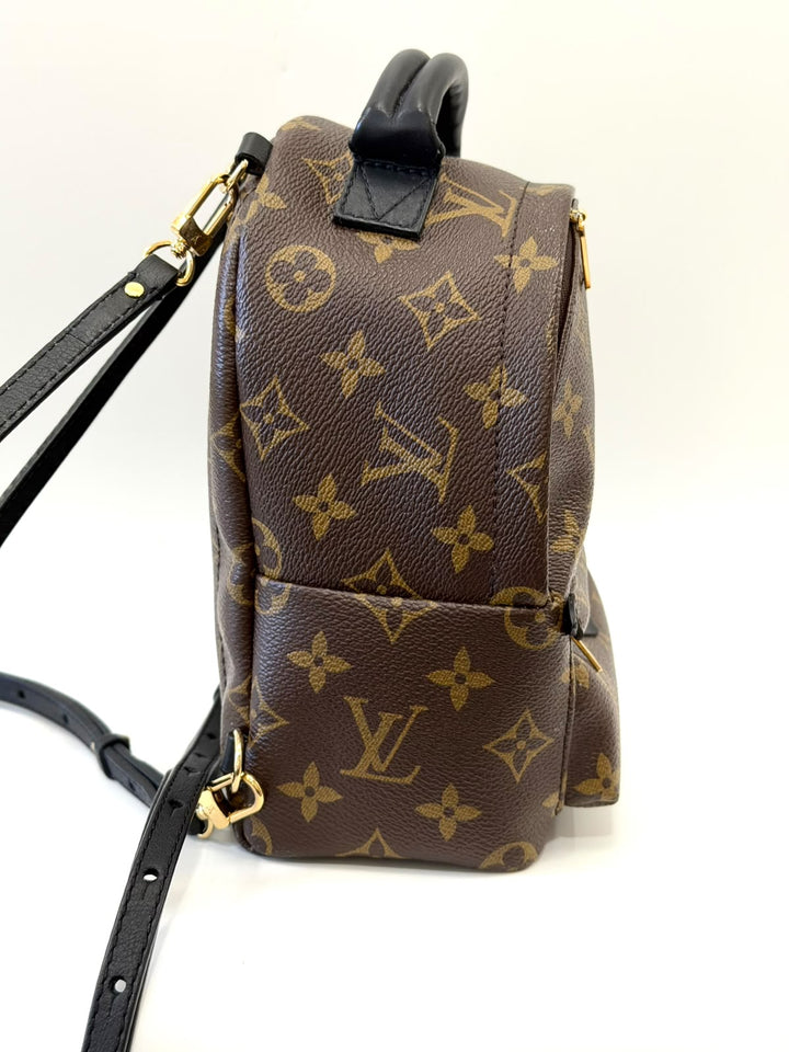 LOUIS VUITTON MONOGRAM PALM SPRINGS MINI BACKPACK